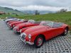 MGA_012
