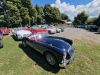 MGA_049
